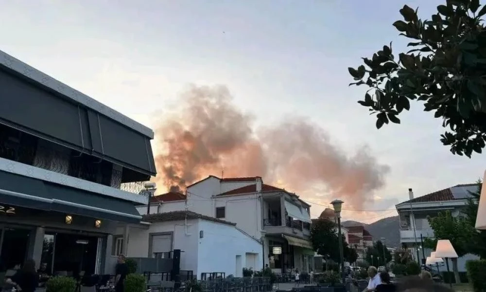 Μεσσηνία: Φωτιά ξέσπασε στην Οιχαλία